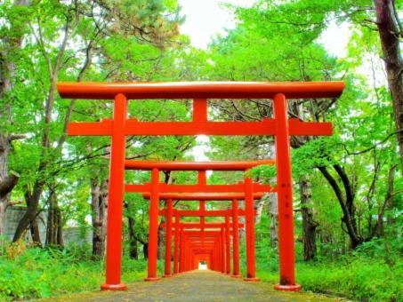 Вілла Kyonoya Fushimi Inari Кіото Екстер'єр фото